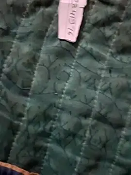 Payal950 online show from April 27, 2026, 12:08 am