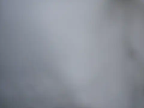 Ricotta1 online show from December 22, 2025, 7:49 am