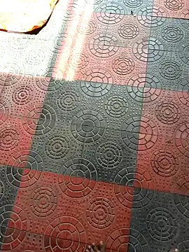 Telugu coupul online show from October 11, 2025, 6:01 am