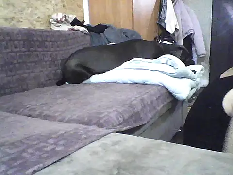 Snapshot of Milana38 chatting on October 7, 2025, 9:50 am Milana38 online show from October 7, 2025, 9:50 am