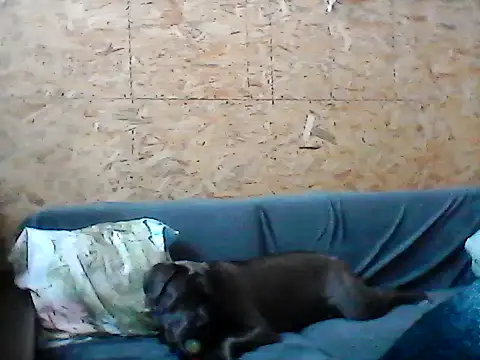 Snapshot of Milana38 chatting on January 16, 2026, 11:14 am Milana38 online show from January 16, 2026, 11:14 am