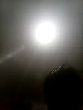 Bebicho14 online show from November 13, 2025, 3:49 am