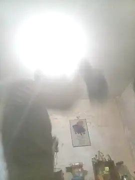 Bebicho14 online show from November 14, 2025, 2:10 am