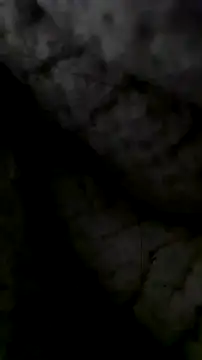 Snapshot of LanaAce719 chatting on October 13, 2025, 7:41 am LanaAce719 online show from October 13, 2025, 7:41 am