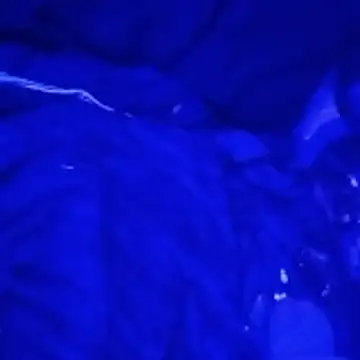 johnboones10 online show from March 4, 2026, 9:15 am