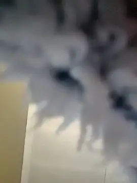 Snapshot of Cianda24 chatting on December 14, 2025, 9:25 am Cianda24 online show from December 14, 2025, 9:25 am