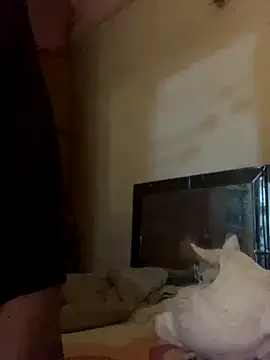 Snapshot of Kajal-Shemale69 chatting on November 17, 2025, 7:36 am Kajal-Shemale69 online show from November 17, 2025, 7:36 am