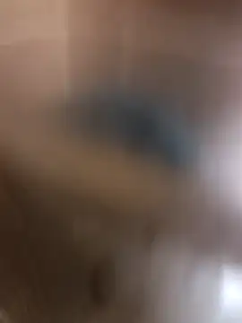 Snapshot of kirikou0644 chatting on March 10, 2026, 4:34 pm kirikou0644 online show from March 10, 2026, 4:34 pm