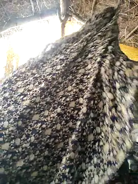 LUCKY cut online show from October 20, 2025, 3:07 am