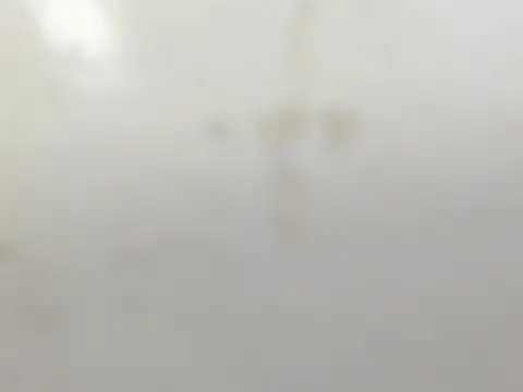 Penelopee Rouse online show from October 20, 2025, 7:25 pm