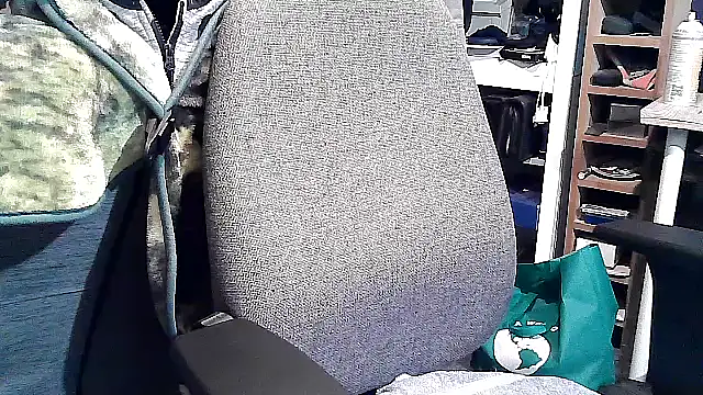 georgew62 online show from September 20, 2025, 11:50 pm