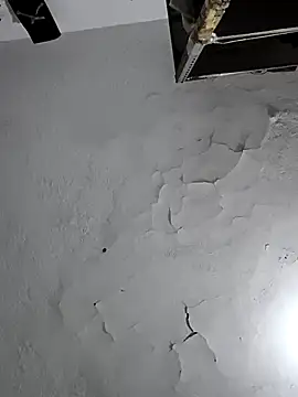 Ferxxxo1503 online show from February 6, 2026, 5:45 am