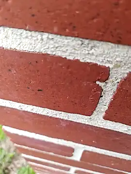 Snapshot of mecchauddu14 chatting on March 27, 2026, 3:01 pm mecchauddu14 online show from March 27, 2026, 3:01 pm