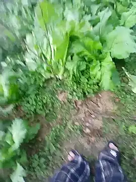 Snapshot of kemtuoi-sex chatting on January 17, 2026, 10:31 am kemtuoi-sex online show from January 17, 2026, 10:31 am