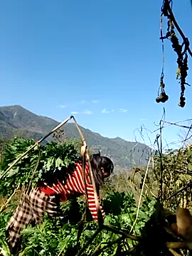 Snapshot of kemtuoi-sex chatting on February 5, 2026, 8:08 am kemtuoi-sex online show from February 5, 2026, 8:08 am