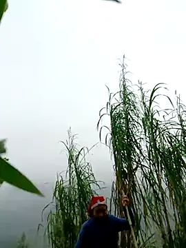 Snapshot of kemtuoi-sex chatting on April 1, 2026, 2:56 am kemtuoi-sex online show from April 1, 2026, 2:56 am