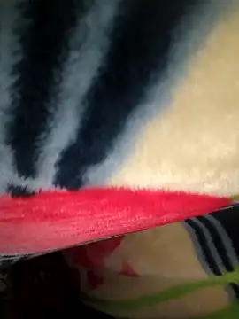 Chanderi19 online show from April 19, 2026, 4:50 pm