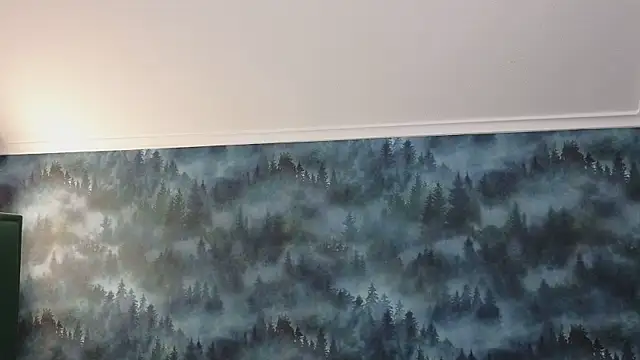 Snapshot of MarkShot_ chatting on November 11, 2025, 8:31 pm MarkShot online show from November 11, 2025, 8:31 pm