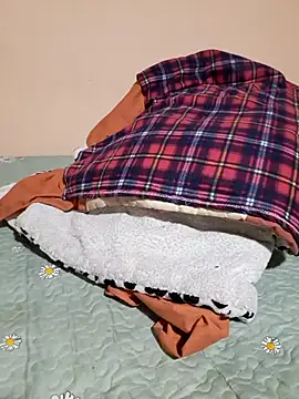 Snapshot of Ansiasex chatting on November 17, 2025, 2:17 am Ansiasex online show from November 17, 2025, 2:17 am