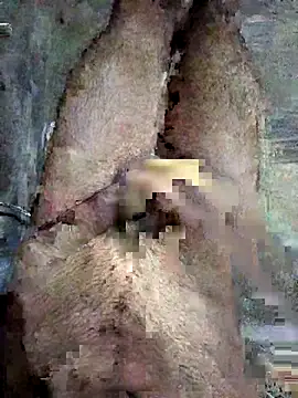 Snapshot of ash706339 chatting on September 19, 2025, 6:52 pm ash706339 online show from September 19, 2025, 6:52 pm