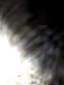 adem63636 online show from March 8, 2026, 2:04 am