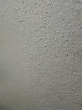 Snapshot of Wild-Nayra chatting on October 4, 2025, 1:36 am Wild-Nayra online show from October 4, 2025, 1:36 am