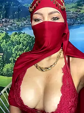 Snapshot of _hafsa_ chatting on November 9, 2025, 11:19 am hafsa online show from November 9, 2025, 11:19 am