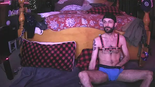 Snapshot of HarmoniousPhantasm3 chatting on November 4, 2025, 12:21 am HarmoniousPhantasm3 online show from November 4, 2025, 12:21 am