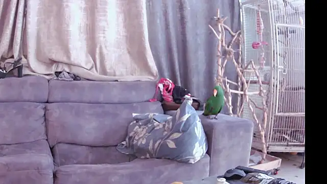 Snapshot of Alexis21821 chatting on November 13, 2025, 7:18 am Alexis21821 online show from November 13, 2025, 7:18 am