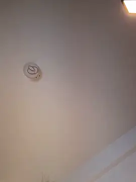 Andrestarr online show from March 11, 2026, 6:47 pm