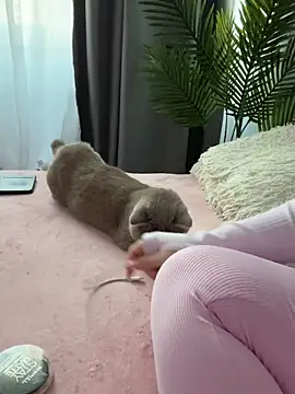 Andrestarr online show from March 14, 2026, 2:55 pm