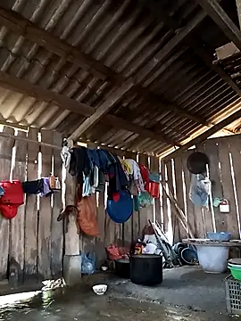 bonnie-00 online show from February 15, 2026, 2:19 am