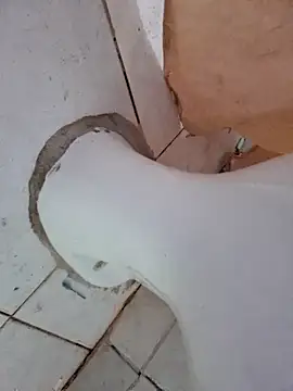 Snapshot of negaa25 chatting on October 12, 2025, 11:42 am negaa25 online show from October 12, 2025, 11:42 am