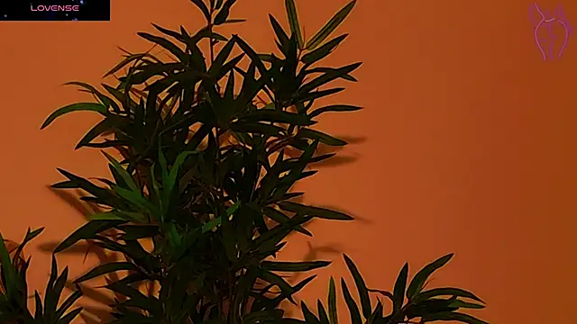 Snapshot of CoraVex chatting on September 26, 2025, 4:27 am CoraVex online show from September 26, 2025, 4:27 am