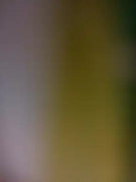 tulipsexy online show from February 19, 2026, 3:35 am