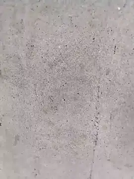 Biu xx online show from February 24, 2026, 9:07 am