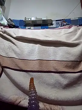 calntt28 online show from February 12, 2026, 2:12 pm