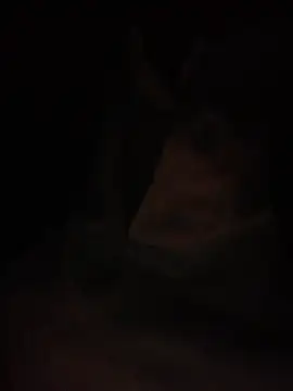 Halyy xx online show from March 4, 2026, 1:28 pm