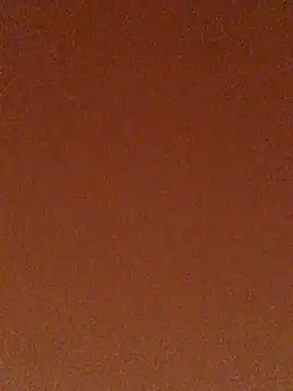 Snapshot of tiago1981pt chatting on September 21, 2025, 2:29 pm tiago1981pt online show from September 21, 2025, 2:29 pm