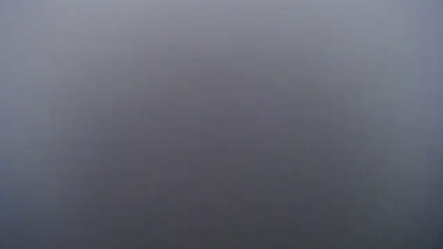 Juiceybileh online show from February 1, 2026, 2:48 pm