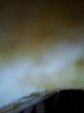 alone boy802 online show from November 6, 2025, 4:19 pm