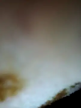 alone boy802 online show from November 24, 2025, 9:03 pm