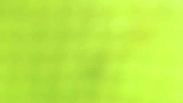 AnySugar online show from September 23, 2025, 2:36 am