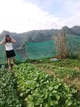 Snapshot of Meomeo-meo chatting on November 21, 2025, 8:35 am Meomeo-meo online show from November 21, 2025, 8:35 am