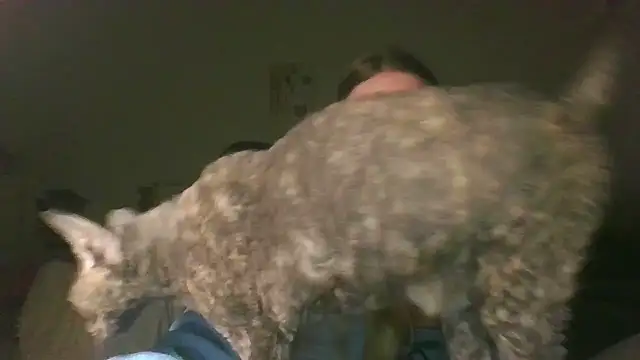 Snapshot of Cynoraye chatting on March 20, 2026, 7:30 pm Cynoraye online show from March 20, 2026, 7:30 pm