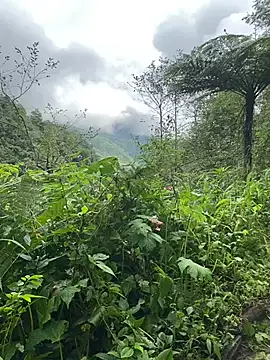 Penny39 online show from October 9, 2025, 1:36 am