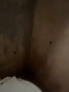 Snapshot of favelado33 chatting on September 26, 2025, 4:22 pm favelado33 online show from September 26, 2025, 4:22 pm