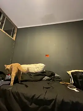 Snapshot of Ignvcivv chatting on December 4, 2025, 3:38 am Ignvcivv online show from December 4, 2025, 3:38 am