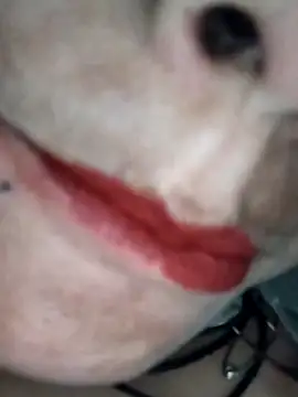 Snapshot of Na_shreya chatting on February 1, 2026, 3:21 pm Na shreya online show from February 1, 2026, 3:21 pm