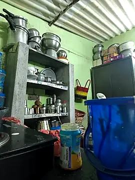 Tamilselviroja- online show from December 1, 2025, 2:55 pm